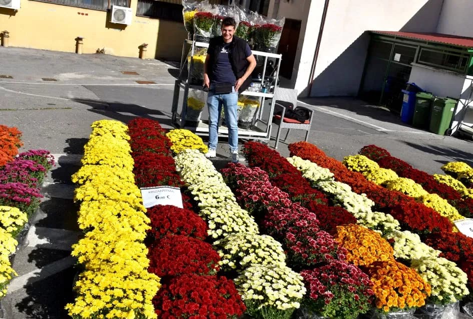 Foto 102477