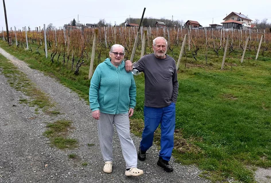 Vino s dušom Papuka: Obitelj Ostojić i njihova priča o graševini, rizlingu i merlotu