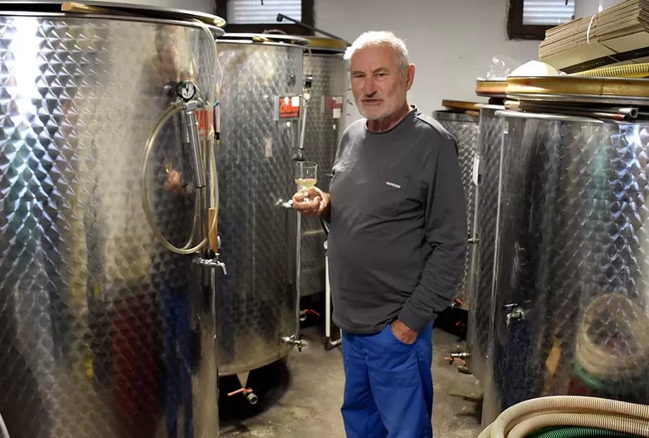 Vino s dušom Papuka: Obitelj Ostojić i njihova priča o graševini, rizlingu i merlotu