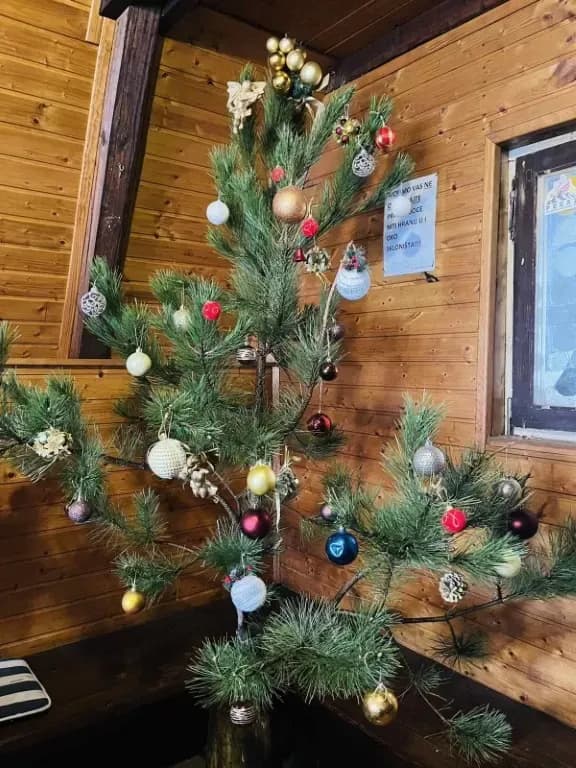 Blagdanski ugođaj na Mališćaku
