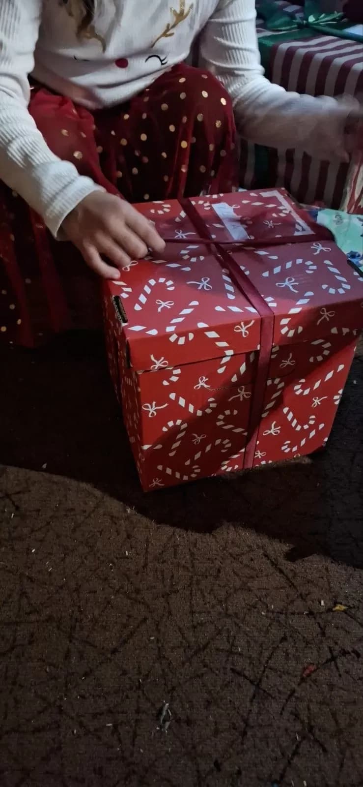 Advent Udruge La Bella Vita u znaku solidarnosti: humanitarnim akcijama uljepšani blagdani djeci i starijim osobama