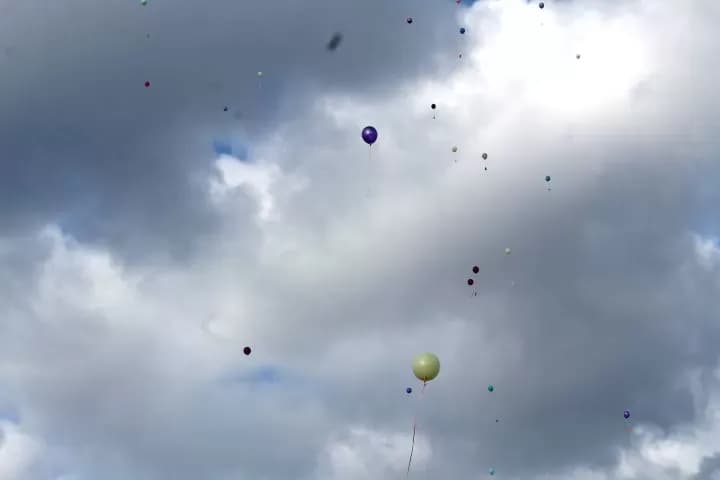 TRG BEĆARCA U PLETERNICI: Tradicionalno u podne dočekana Nova 2026. godina
