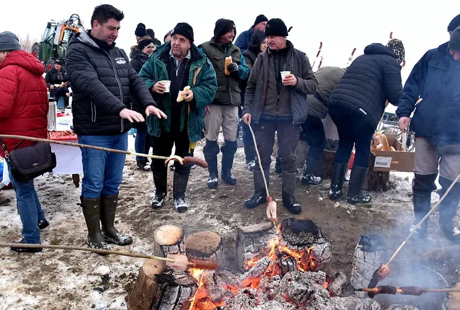 Ledena magija na Hrnjevcu: Na -8,4 °C Kutjevo d.d. obavilo povijesnu berbu za vrhunska vina