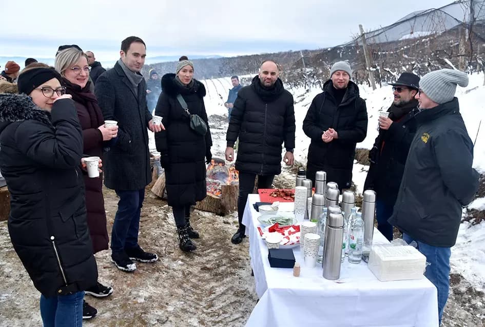 Ledena magija na Hrnjevcu: Na -8,4 °C Kutjevo d.d. obavilo povijesnu berbu za vrhunska vina