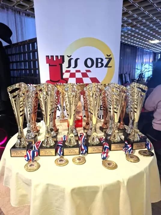 USPJEŠAN NASTUP MLADOG POŽEŠKOG ŠAHISTA: Mate Kovačević pobjednik na kadetskom prvenstvu Osječko-baranjske županije u uzrastu do 11 godina