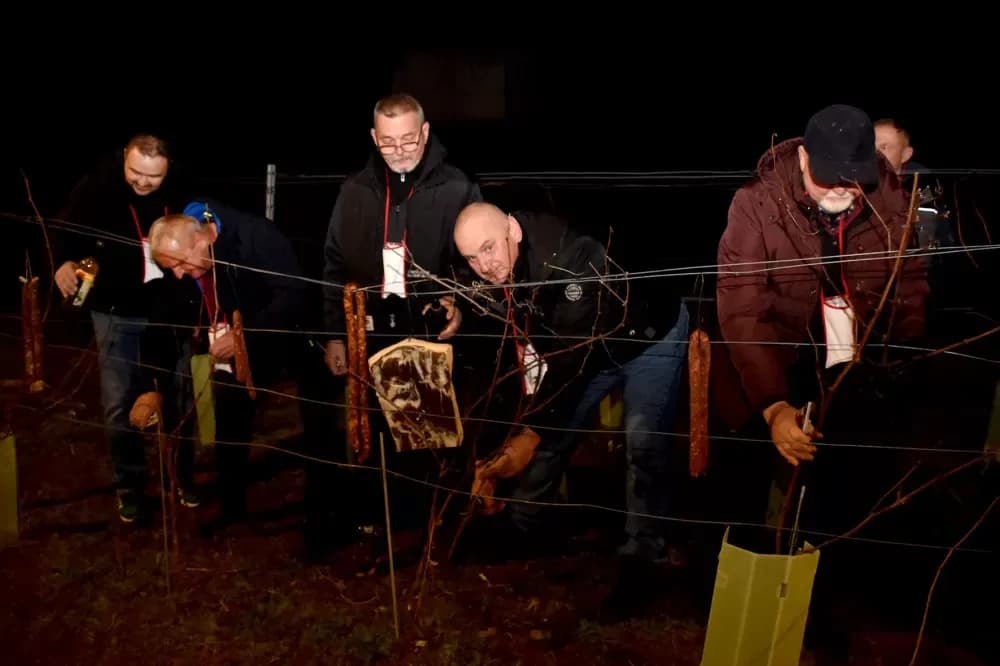 Vincelovo u Biškupcima potvrdilo status jedne od najvećih proslava u Požeštini