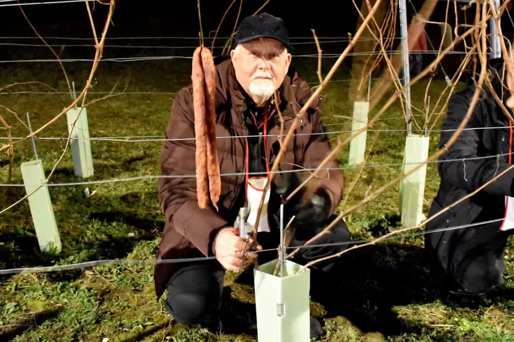 Vincelovo u Biškupcima potvrdilo status jedne od najvećih proslava u Požeštini
