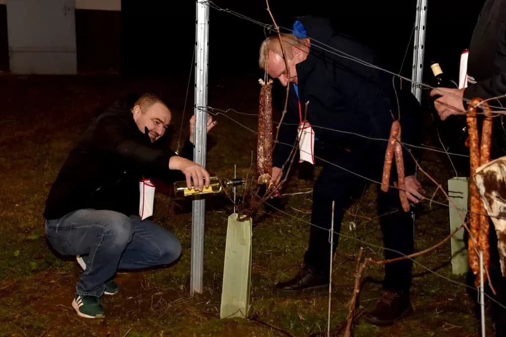 Vincelovo u Biškupcima potvrdilo status jedne od najvećih proslava u Požeštini
