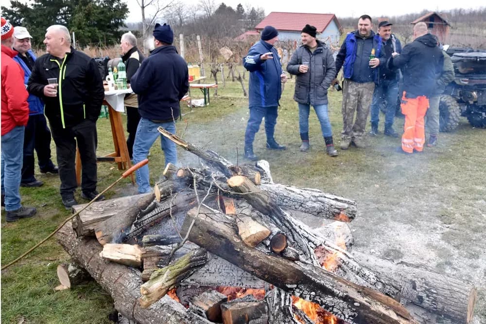 Vincelovo postaje tradicija na Kamenjaku: Blagoslov i vrhunska domaća kapljica