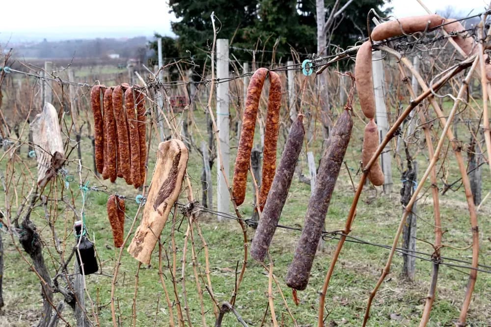 Vincelovo postaje tradicija na Kamenjaku: Blagoslov i vrhunska domaća kapljica