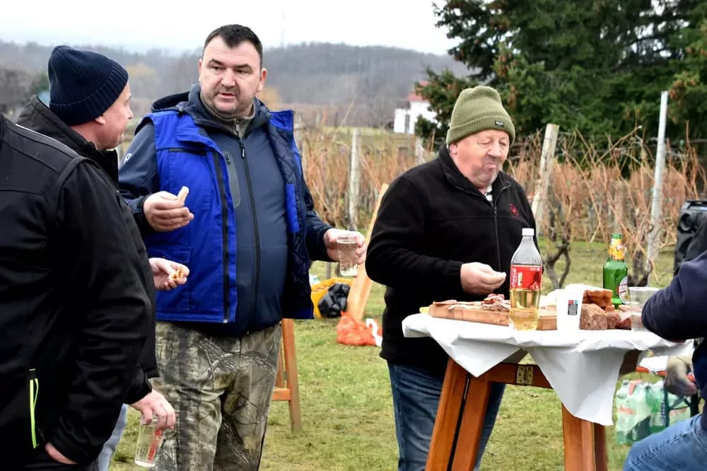 Vincelovo postaje tradicija na Kamenjaku: Blagoslov i vrhunska domaća kapljica