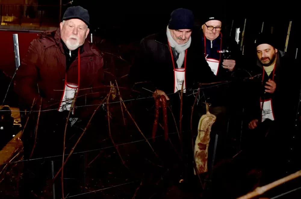 Uz tamburaše Fijakera proslavljeno 33. Vinkovo u Velikoj