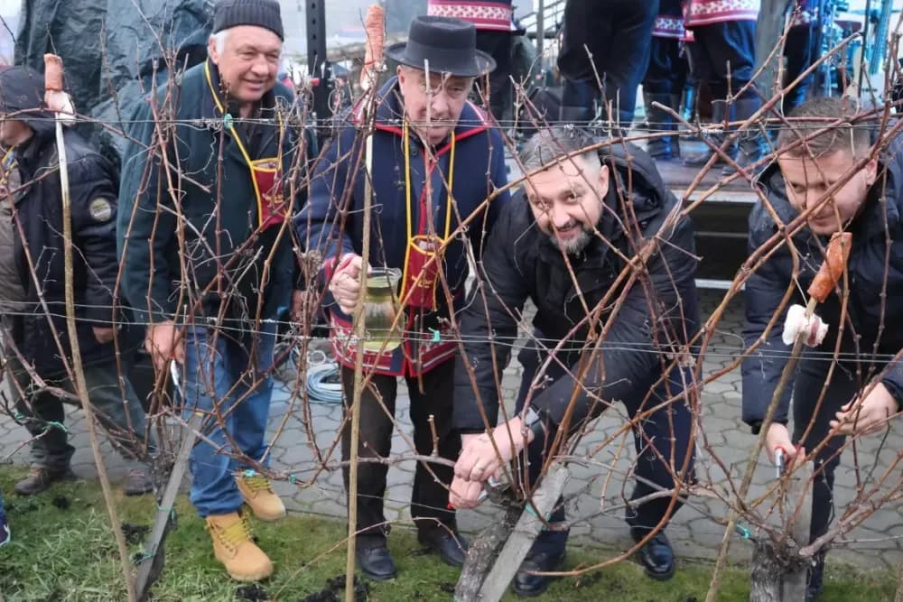 Vetovčani još jednom dokazali: Vincelovo je više od običaja
