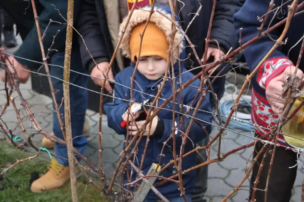 Vetovčani još jednom dokazali: Vincelovo je više od običaja
