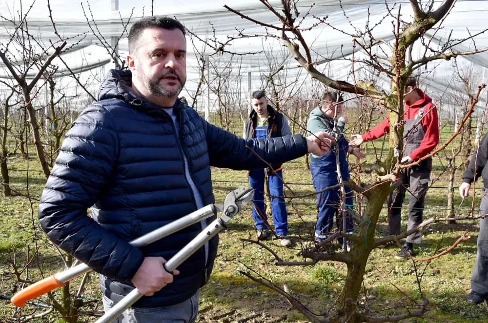Od hobista do majstora: Požeška Ratarnica ugostila voćare iz cijele županije