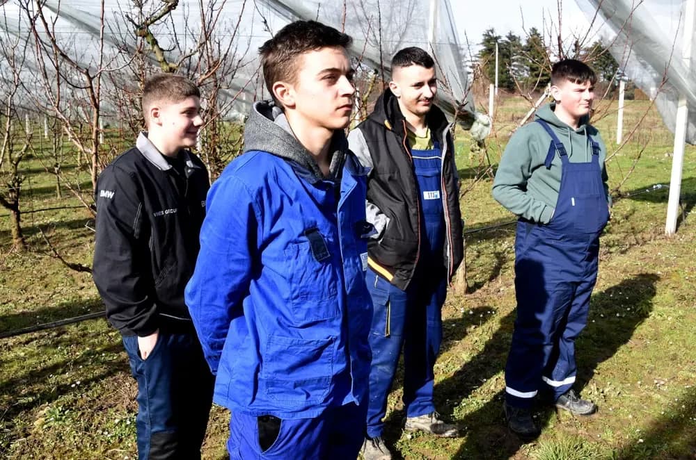 Od hobista do majstora: Požeška Ratarnica ugostila voćare iz cijele županije