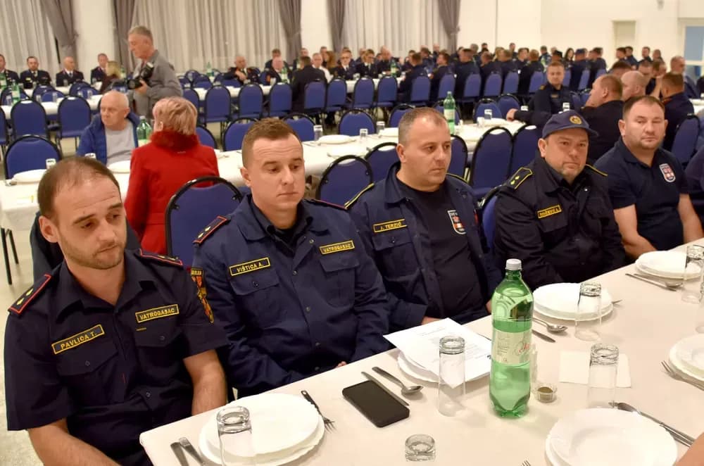 Velički vatrogasci uz 32 intervencije hvatali su zmije i uklanjali stršljenove