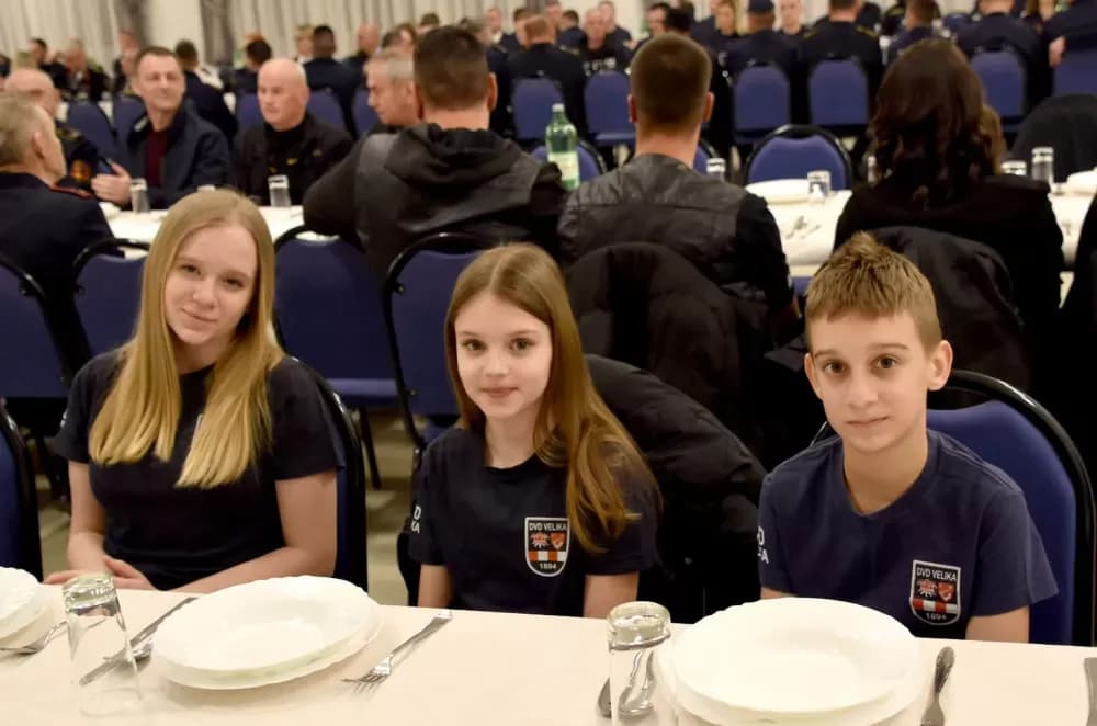 Velički vatrogasci uz 32 intervencije hvatali su zmije i uklanjali stršljenove
