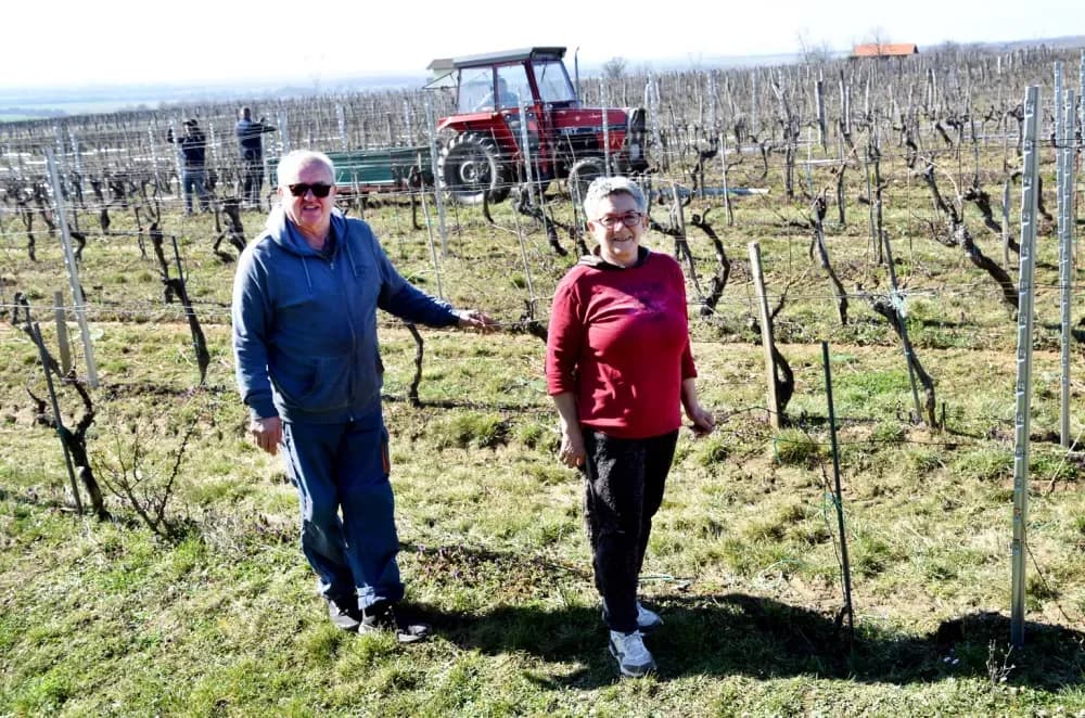 Vjerni  čuvari vinske kapljice: Obitelj Paulić, pola stoljeća tradicije podno Mitrovca