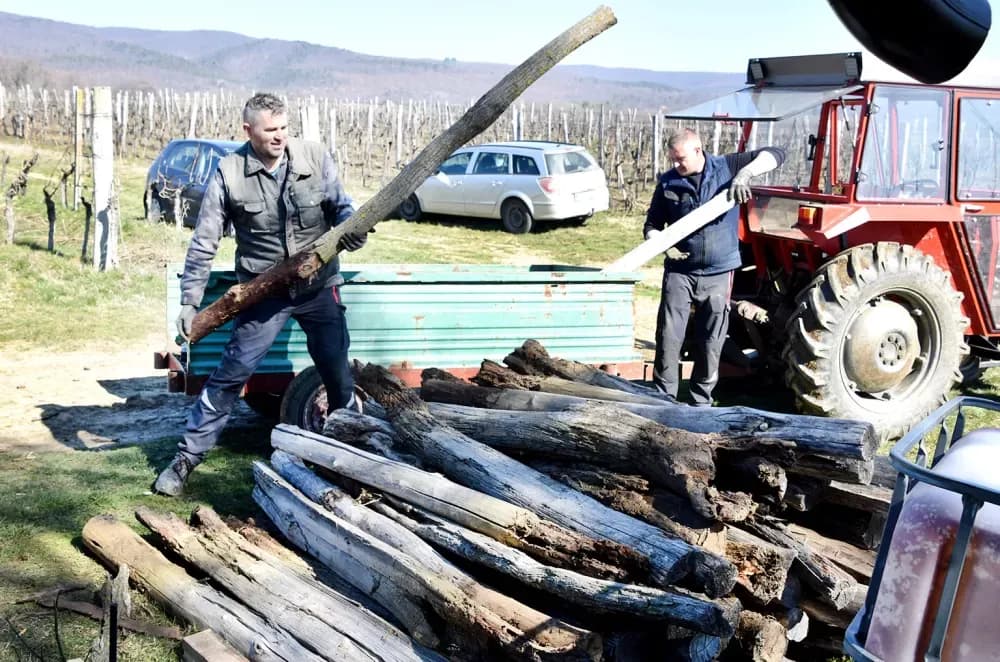 Vjerni  čuvari vinske kapljice: Obitelj Paulić, pola stoljeća tradicije podno Mitrovca