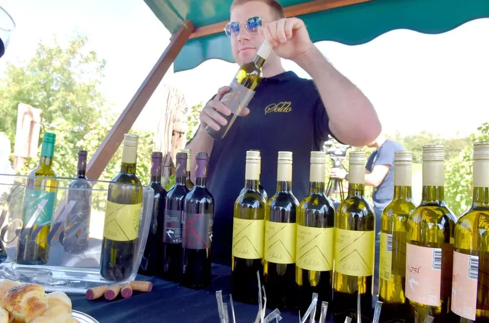 Obitelj Soldo iz Vetova: Spoj tradicije i vinarstva