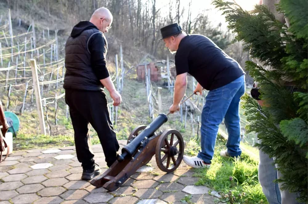 Pjesma, tradicija i vinogradarski ražanj podno Domovinskog križa