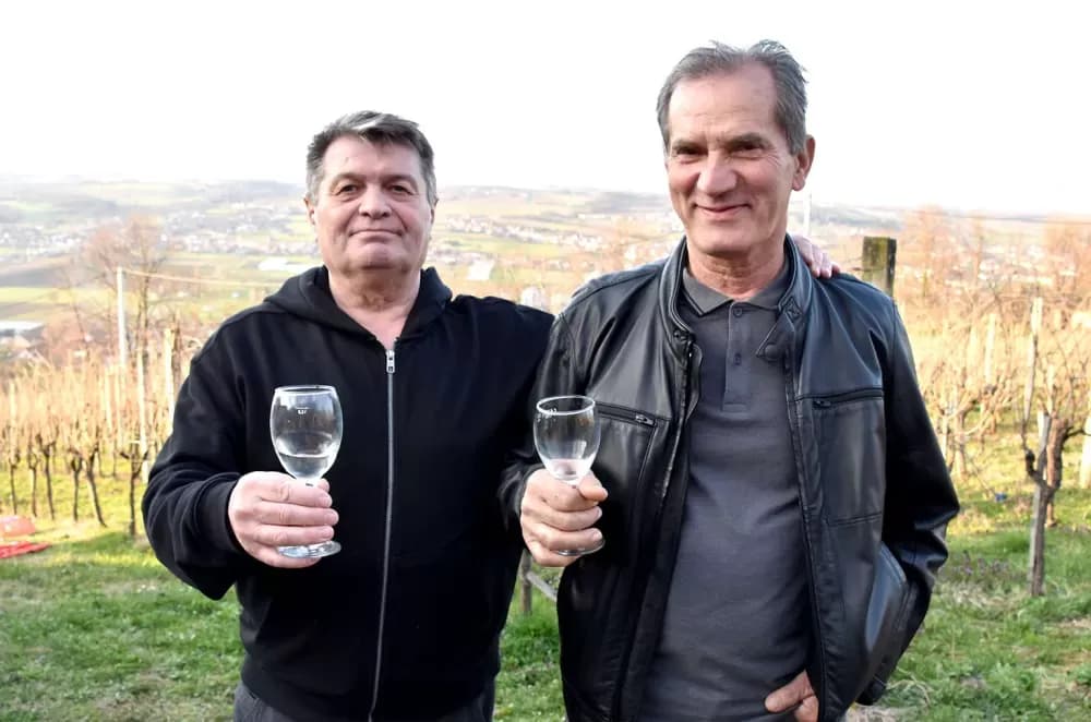 Pjesma, tradicija i vinogradarski ražanj podno Domovinskog križa