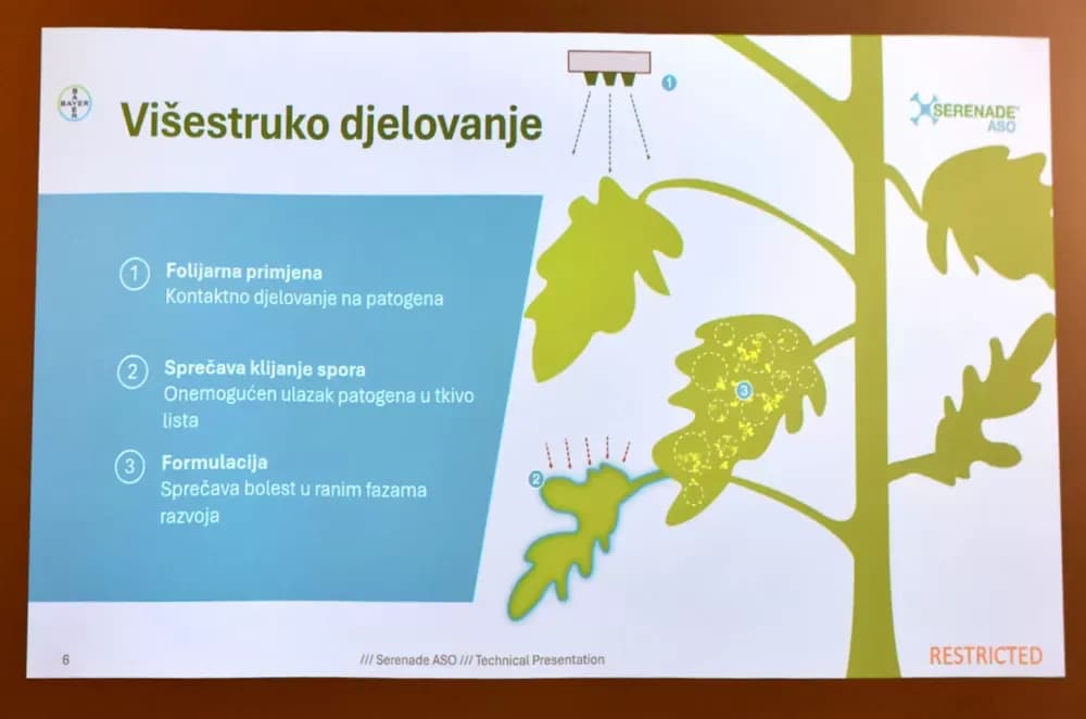 KUTJEVAČKI VINARI KOD OBITELJI PERAK: Stručno usavršavanje uoči nove vegetacijske sezone