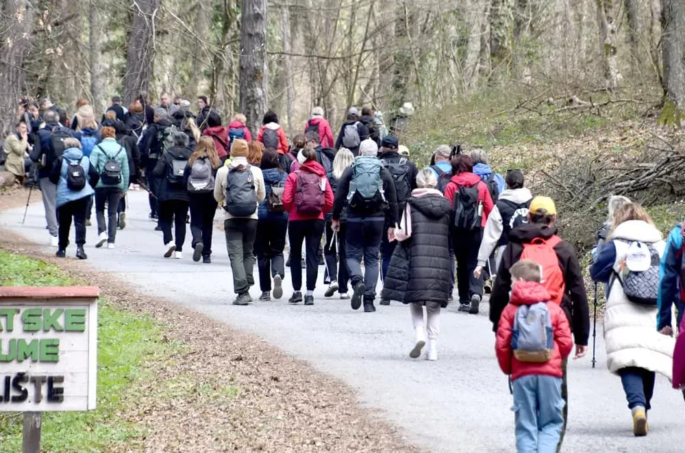 Tisuće planinara na Papučkim jaglacima pohode sedam staza