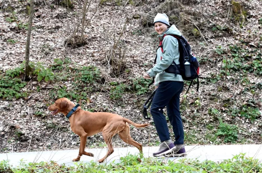 Tisuće planinara na Papučkim jaglacima pohode sedam staza