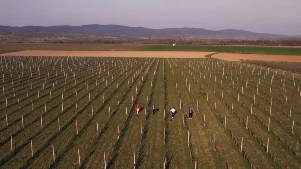 Objavljen video spot službene himne Susreta hrvatske katoličke mladeži 2026.