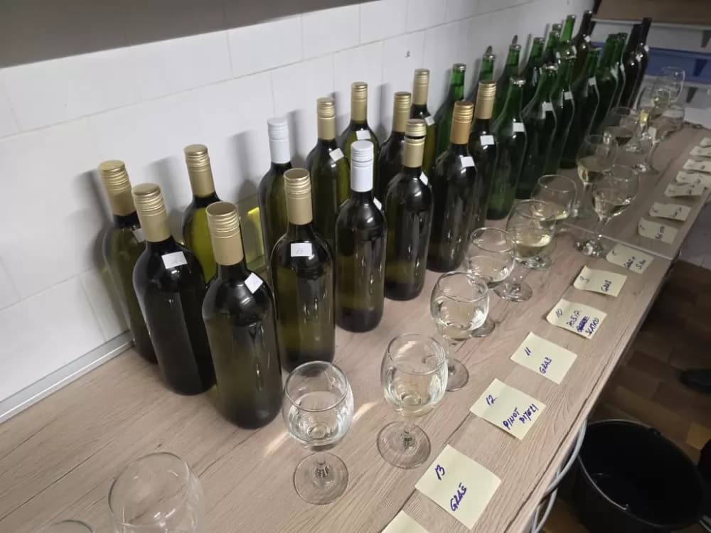 Lukač ponovno oživio duh tradicije kroz vino i domaće proizvode
