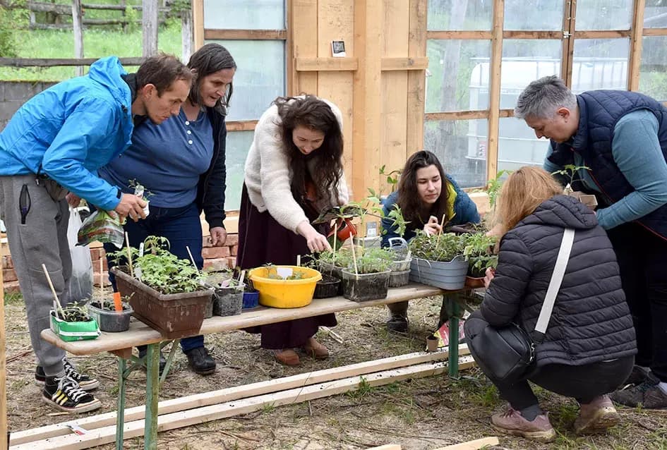 Praznik za vrtlare iznad Požege: Razmjena sjemena i presadnica koja čuva tradiciju