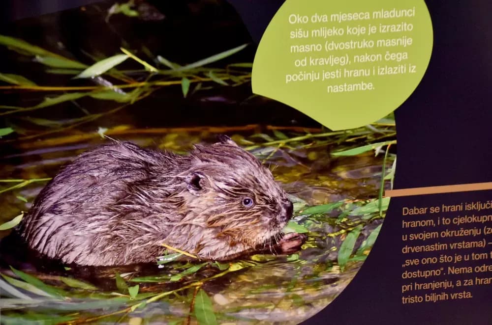 Dan planeta Zemlje u Požegi: Što nas „inženjer prirode“ može naučiti o odgovornosti prema jedinom domu koji imamo?