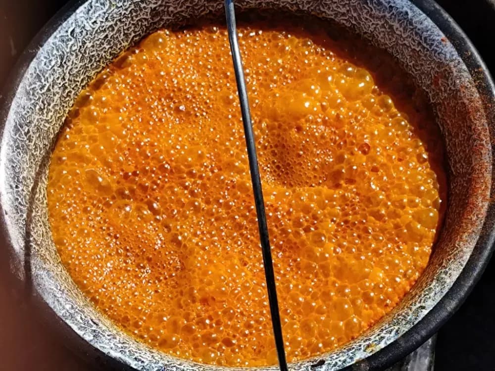 Brestovčani i Veličani nastupili na osječkoj Fišijadi