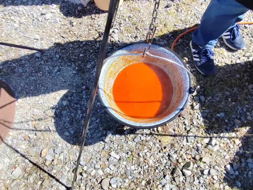 Brestovčani i Veličani nastupili na osječkoj Fišijadi