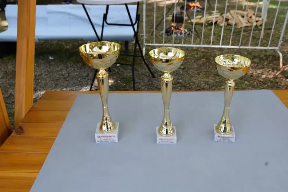 Više od 500 litara čobanca za posjetitelje Požeškog kotlića