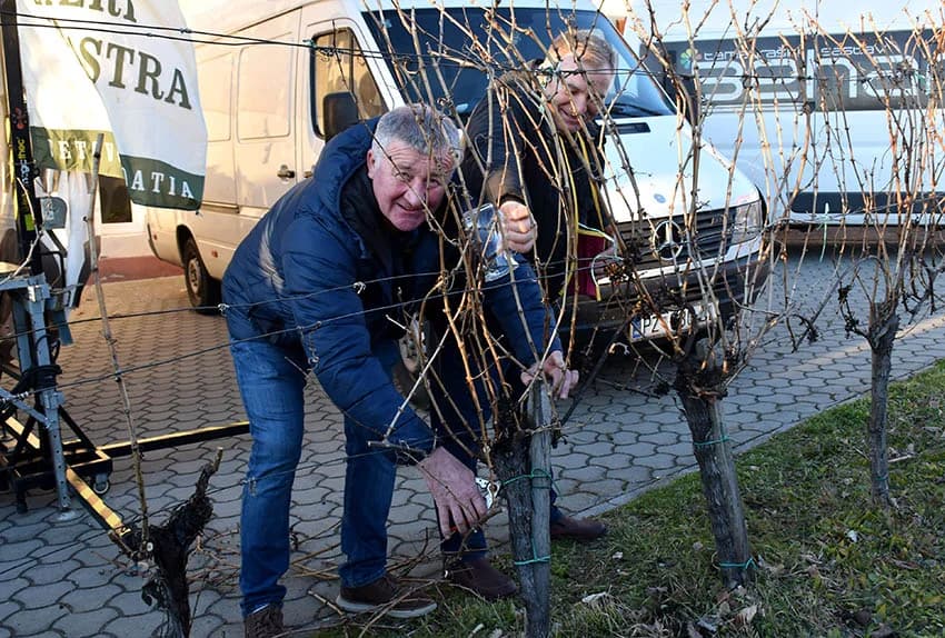 VETOVAČKO VINCELOVO: Uz orezano trsje, odabrana vina i domaće delicije Ivan Štivić i tamburaši razveselili stotine posjetitelja