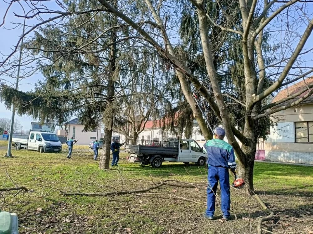 Orezivanje drveća