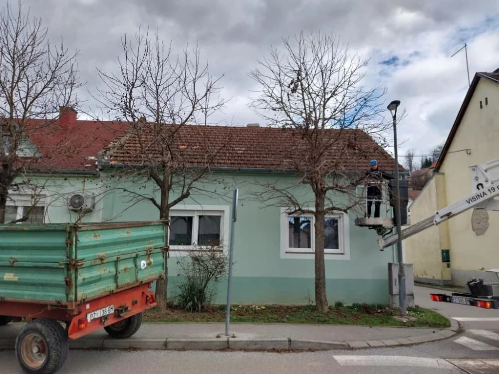 Orezivanje drveća