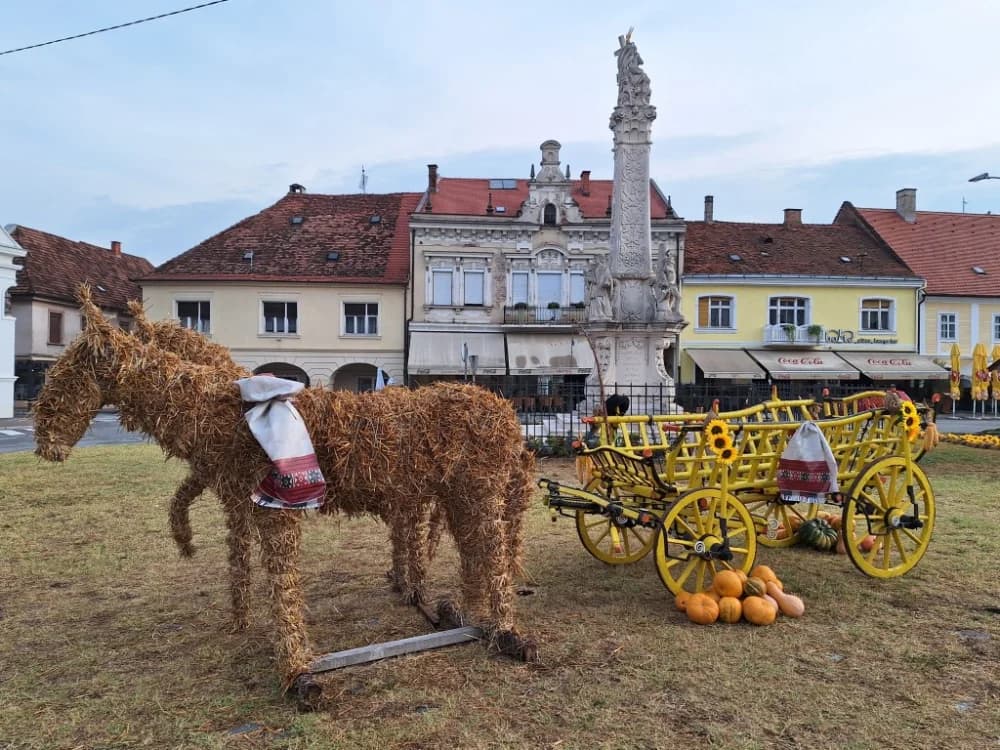 Festivalsko ruho Požege