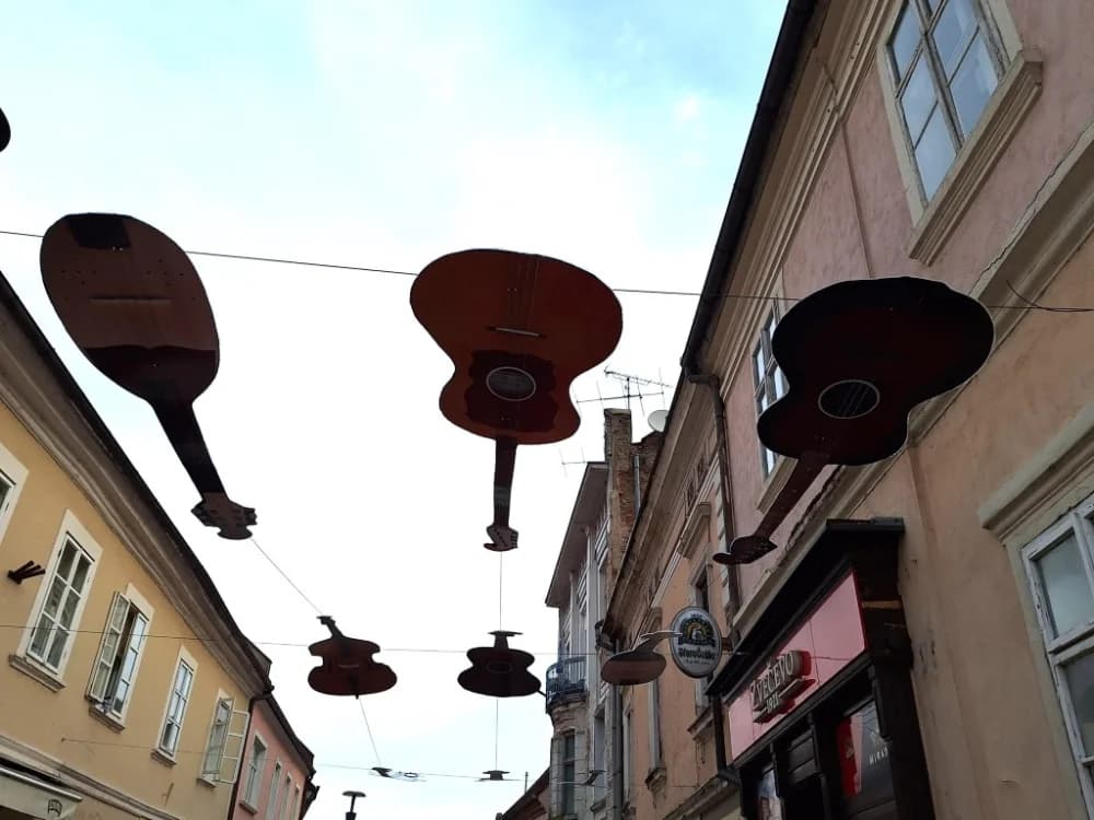 Festivalsko ruho Požege