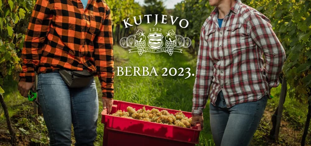 Završetak berbe 2023. i istaknuta svjetska priznanja /FOTO/