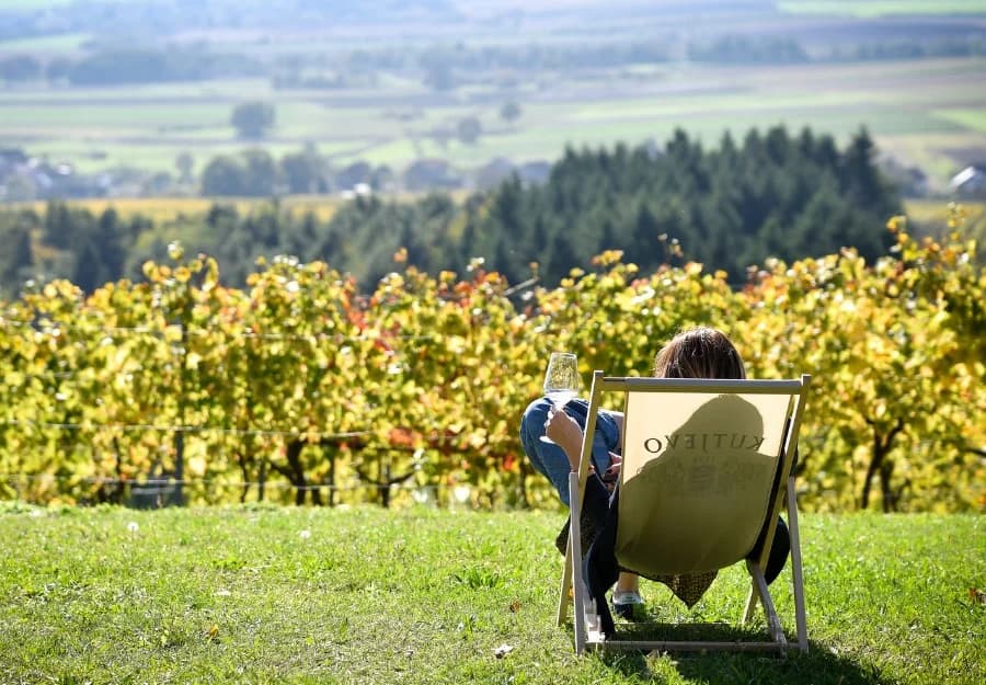 Agroturizam u srcu Zlatne doline - doživite Vinariju Kutjevo na jedinstven način