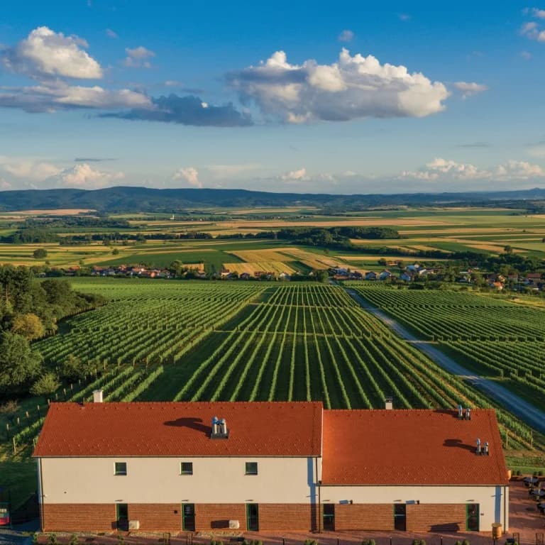 Ljeto okusa, vina i doživljaja u Slavonskoj kući Vinkomir