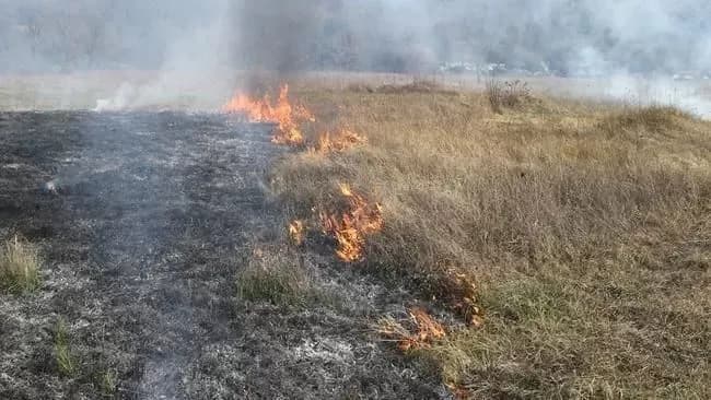 Požar na otvorenom