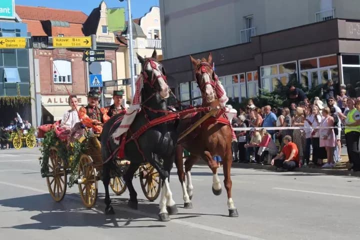 [FOTO] Pleternički umirovljenici prisustvovali  mimohodu na „Vinkovačkim jesenima“ te posjetili Đakovo-srce Slavonije
