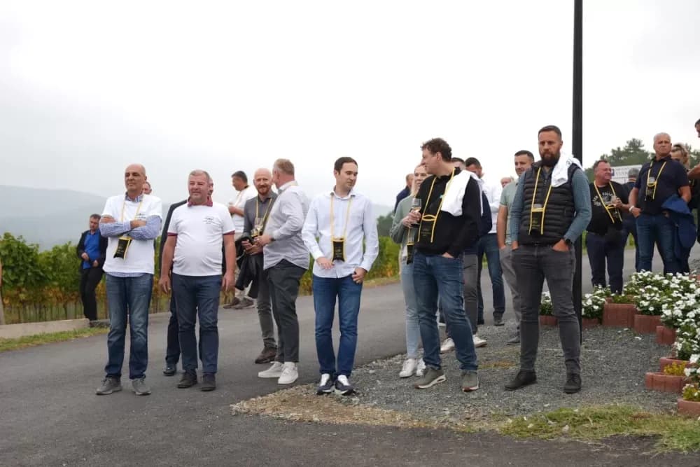 (FOTOGALERIJA) Dan berbe u Vinariji Kutjevo d.d. uz zanimljiva natjecanja