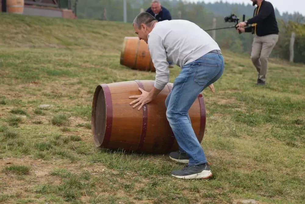 (FOTOGALERIJA) Dan berbe u Vinariji Kutjevo d.d. uz zanimljiva natjecanja