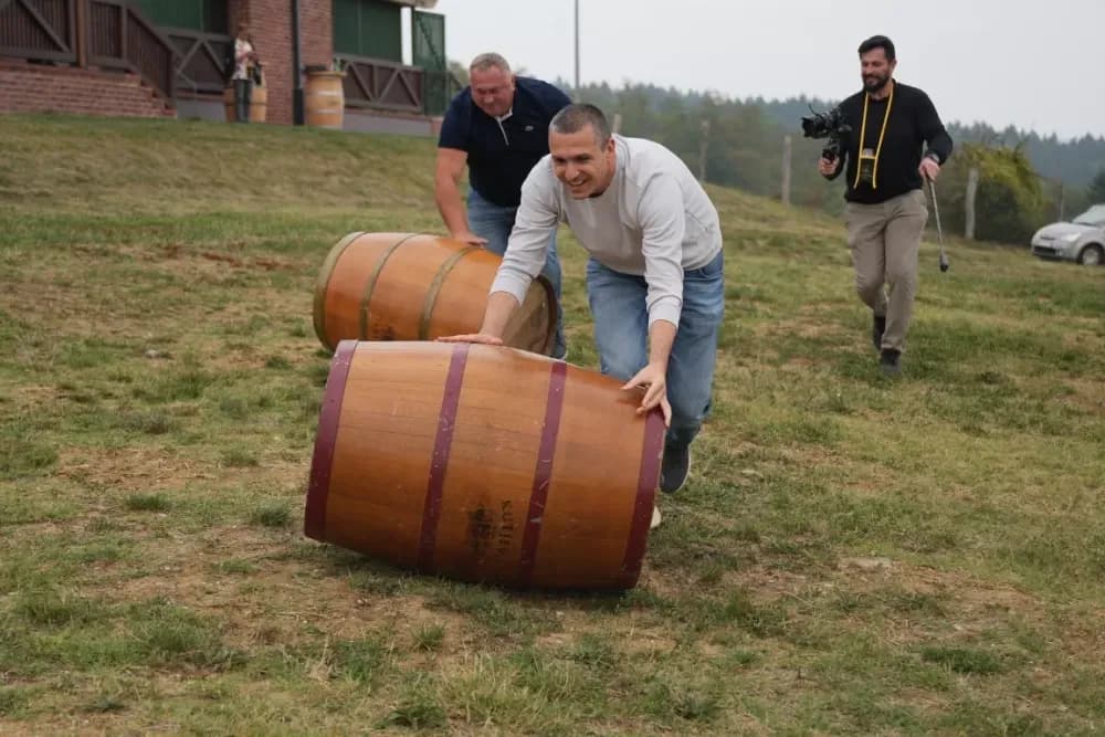 (FOTOGALERIJA) Dan berbe u Vinariji Kutjevo d.d. uz zanimljiva natjecanja